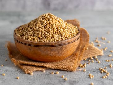 Ceci in una ciotola di legno — prodotti autentici